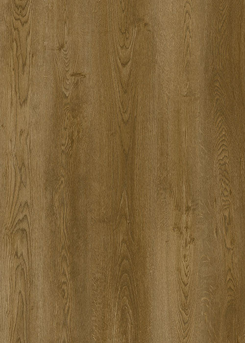 Gallatin Forest Premium WPC Engineered Vinyl 8mm 20Mil